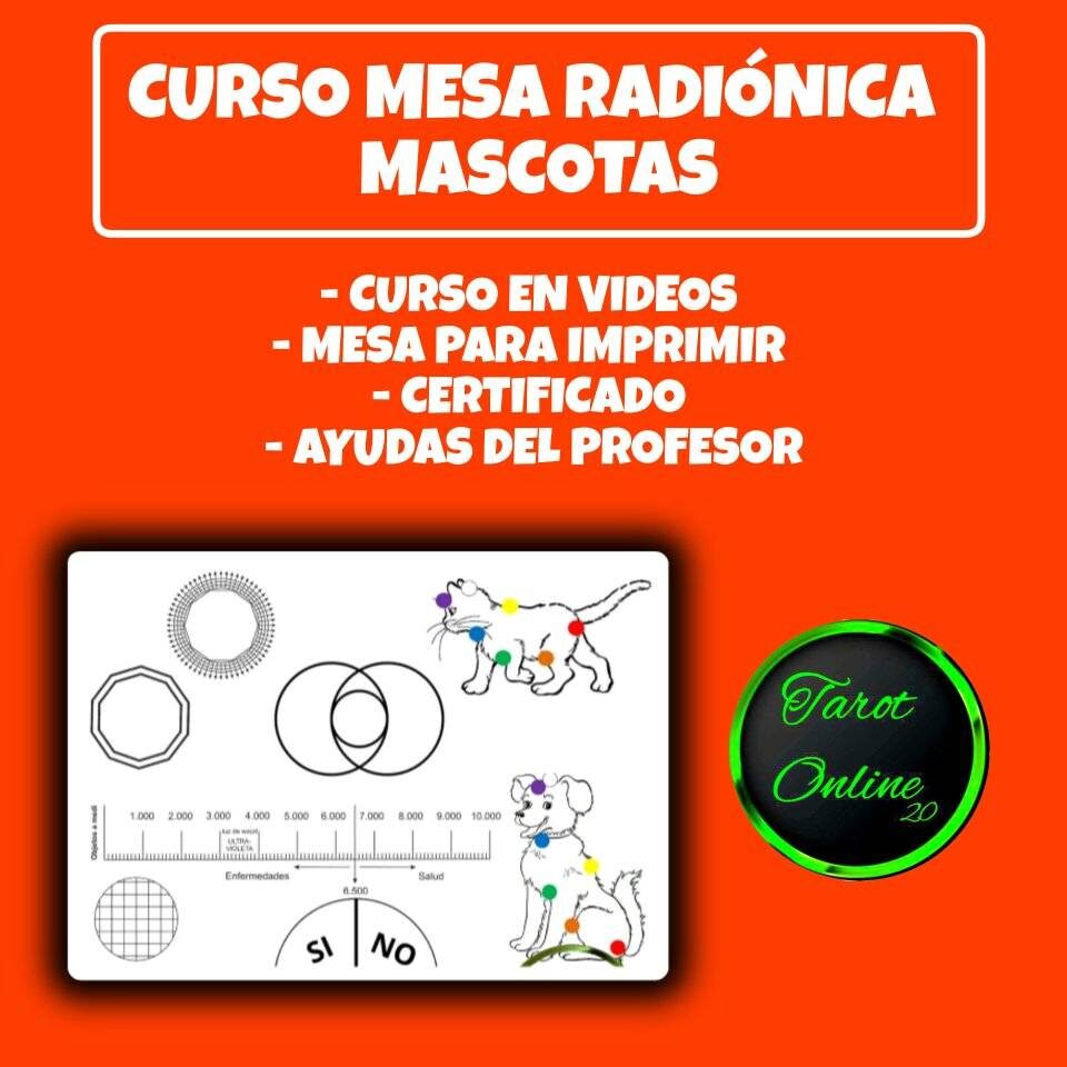 miniatura del curso