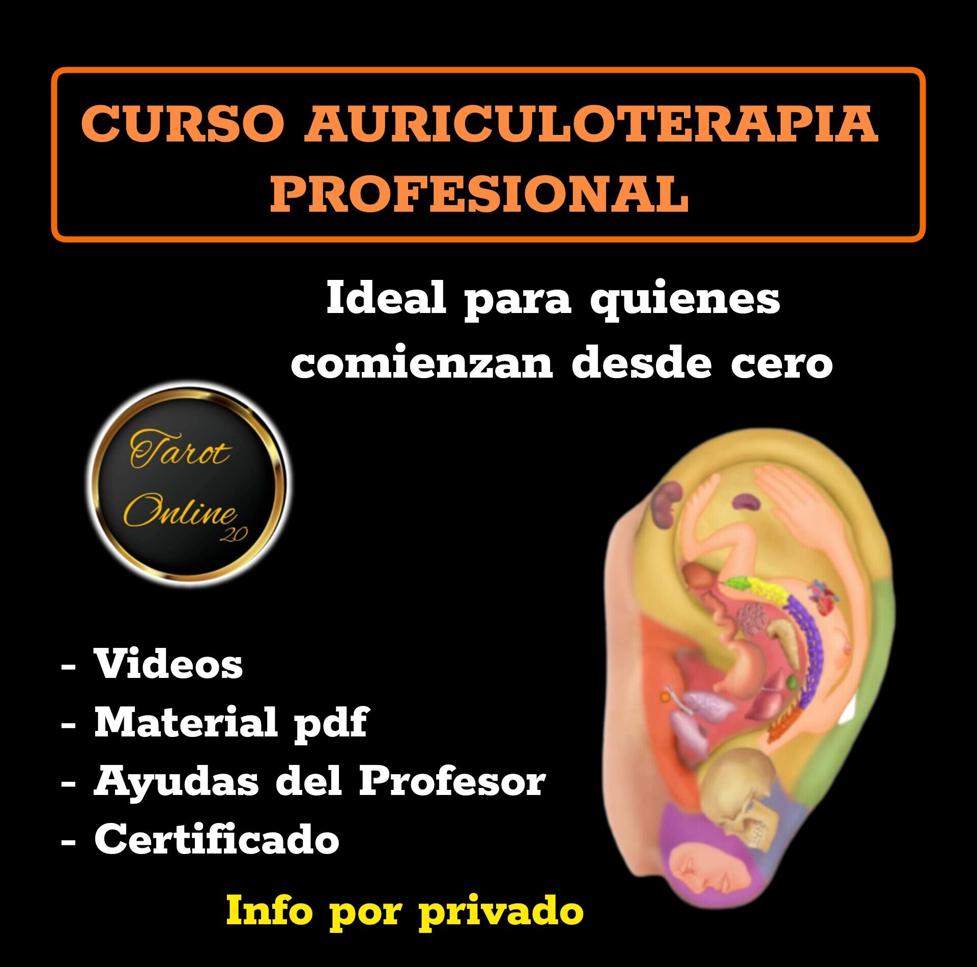 miniatura del curso